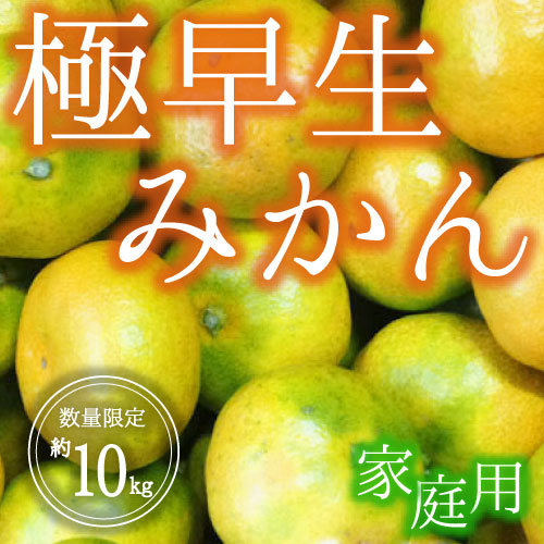 極早生ミカン<家庭用>（10kg）9月下旬～10月中旬