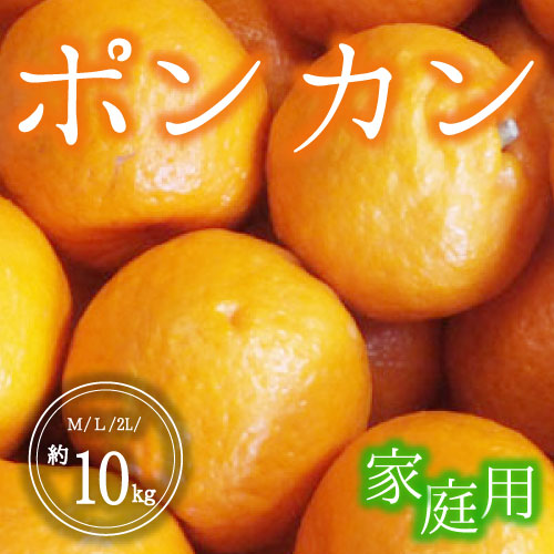 ポンカン<家庭用>（10kg）1月20日～31日