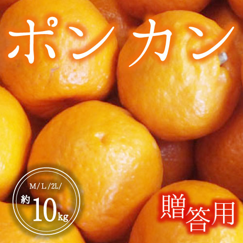 ポンカン<贈答用>（10kg）1月20日～31日