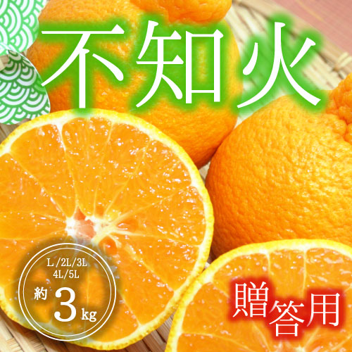 不知火<贈答用>（3㎏）出荷日:2月中旬～3月中旬