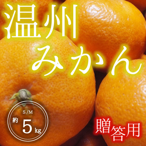 温州みかん<贈答用>（5kg）12月10日～12月25日