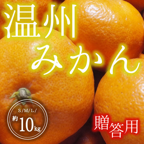 温州みかん<贈答用>（10kg）12月10日～12月25日