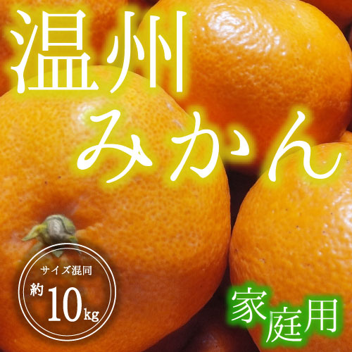 温州みかん<家庭用>（10kg）12月10日～12月25日