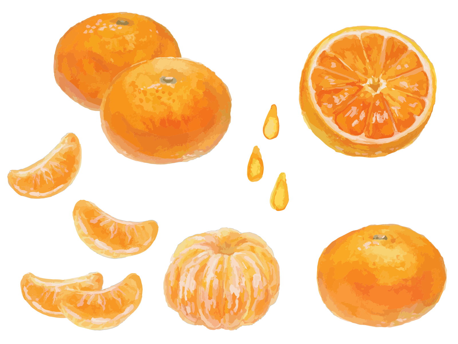 テスト商品登録